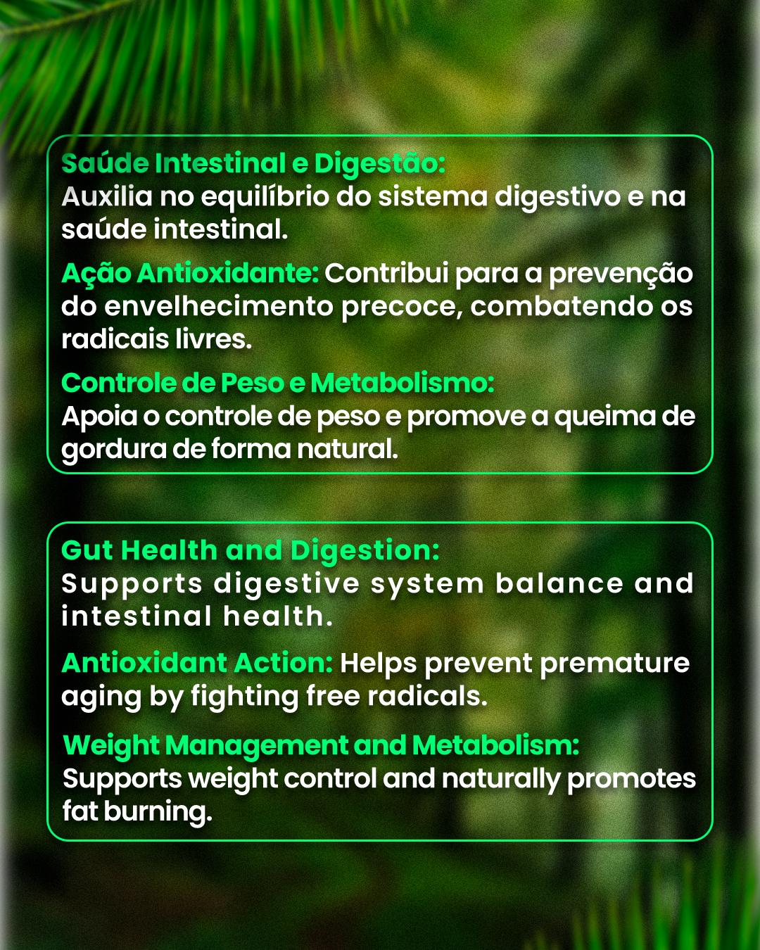 🥥 NYX Coconut Oil – Practicality and Balance for Your Everyday Life