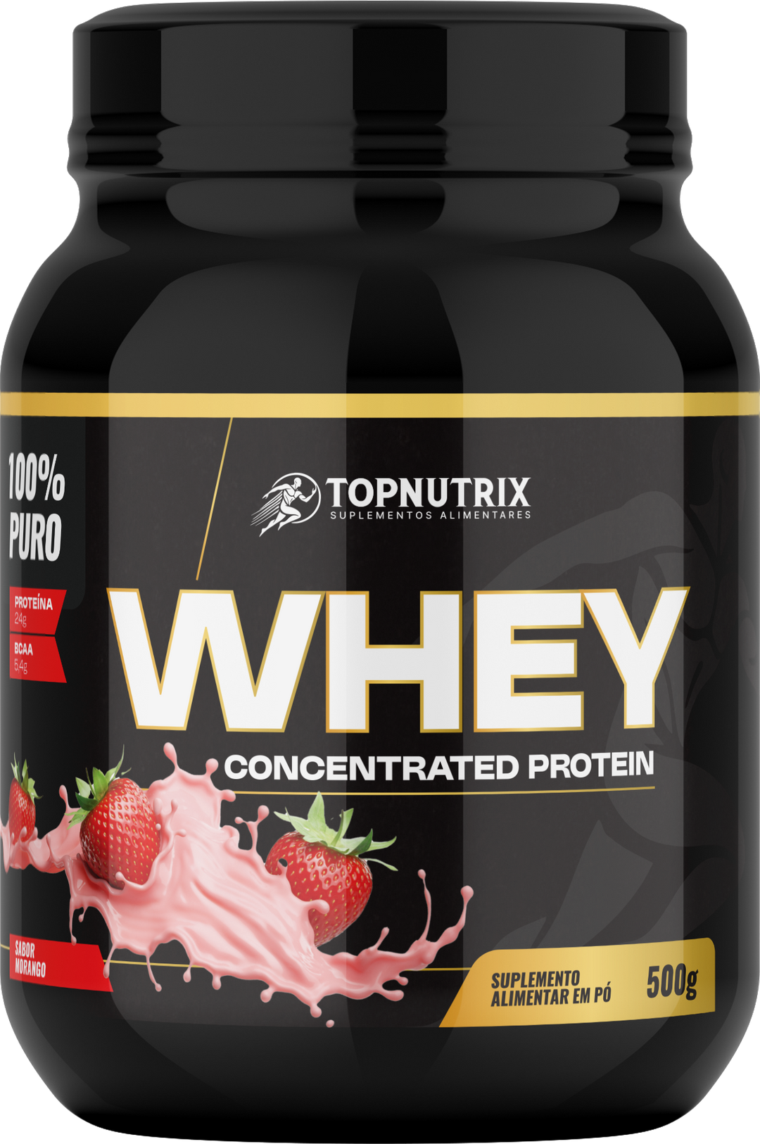 Whey Protein Concentrate 500g – TopNutrix (24g protein)